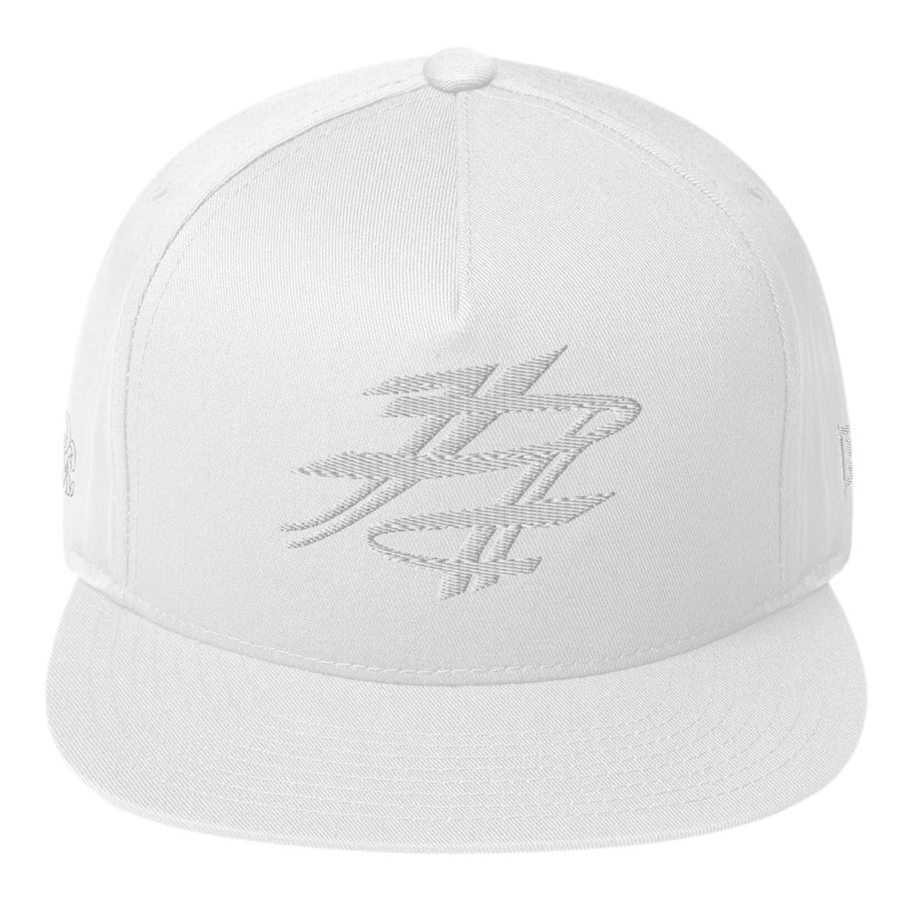 PD LOGO SNAPBACK
